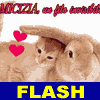Aforisma sull'amicizia