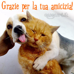 http://www.auguri.it/pics/grazie-per-amicizia-con-cuccioli-b001.jpg
