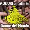 Un mondo di donne