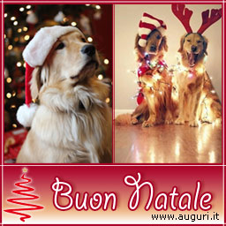 Buon Natale A Quattro Zampe