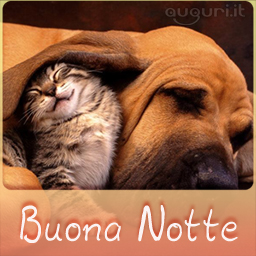 Dolce Augurio Di Buonanotte