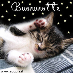 Buonanotte con gattino