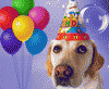 Gif di Compleanno con cane