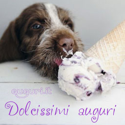 Dolcissimi Auguri