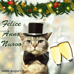 Felice anno nuovo con classe