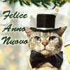 Felice anno nuovo