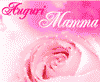 Una rosa per la mamma