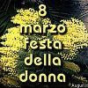Festa della donna con mimose