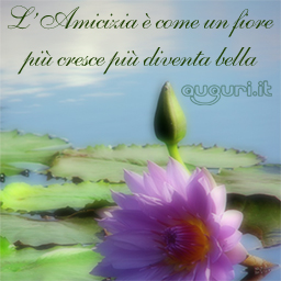 L Amicizia E Come Un Fiore