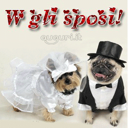 W Gli Sposi W Gli Sposi