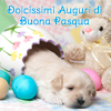 Una dolce Pasqua per te