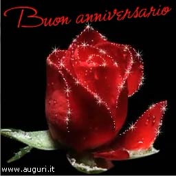 Rosa Per L Anniversario