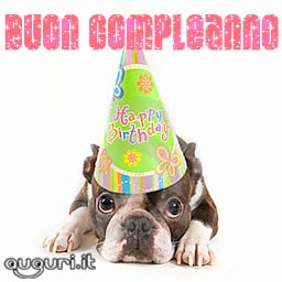 Buon Compleanno Con Dolce Cagnolino