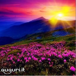 Grazie Mille Per Gli Auguri